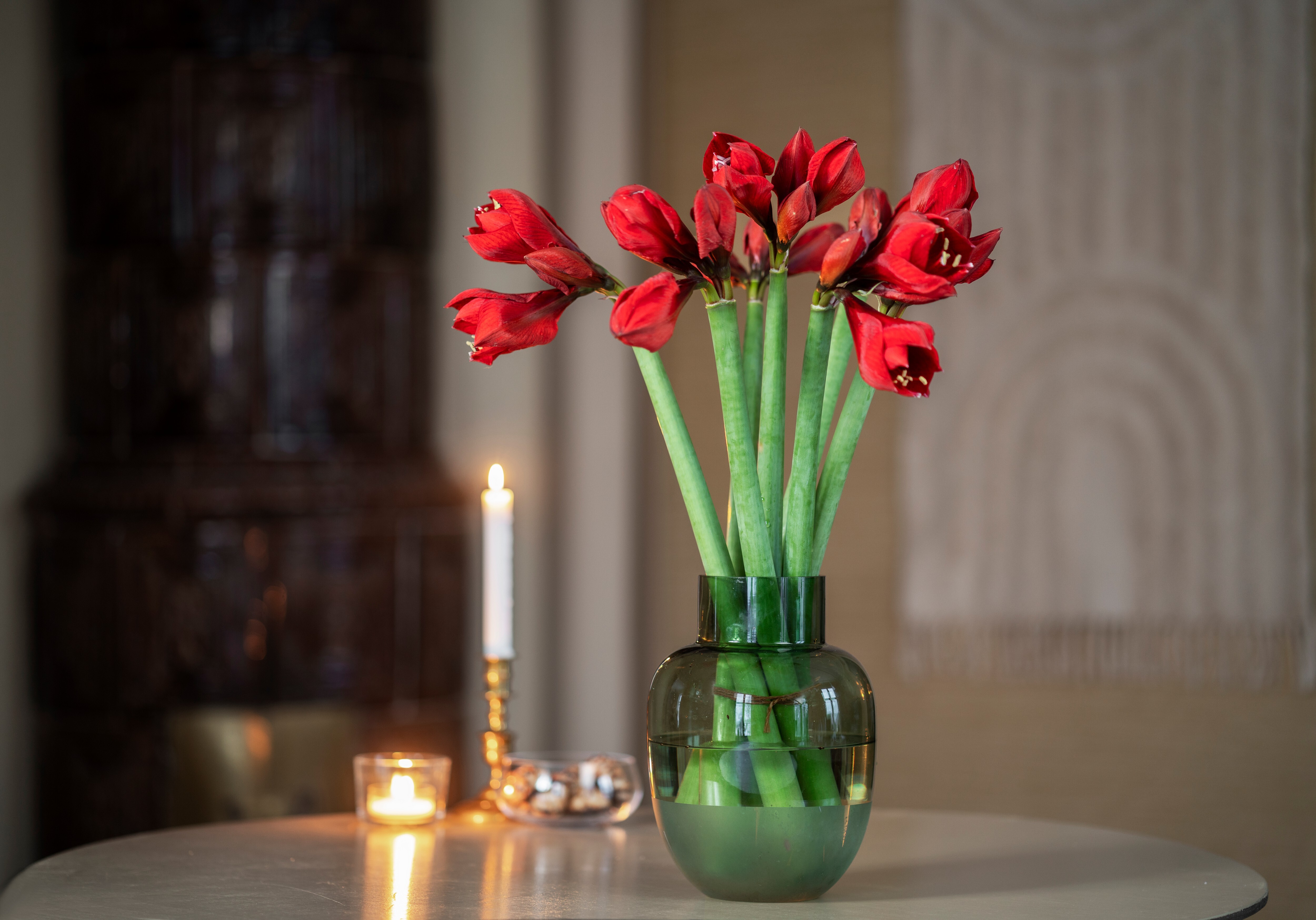 Røde amaryllis i vase