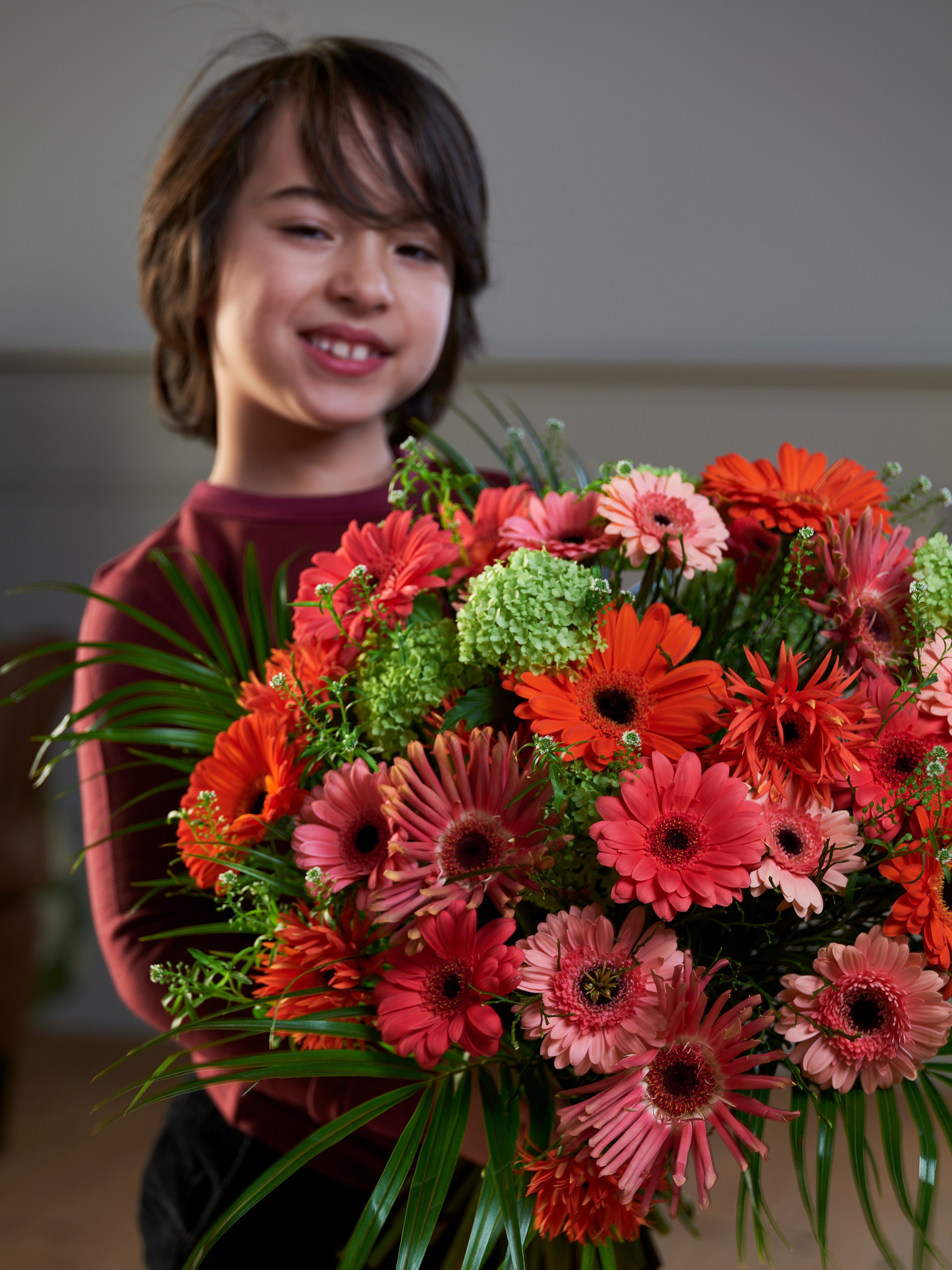 Gutt med rød bukett gerbera