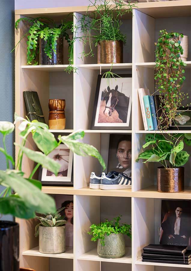 Interflora gronne planter i bokhylle