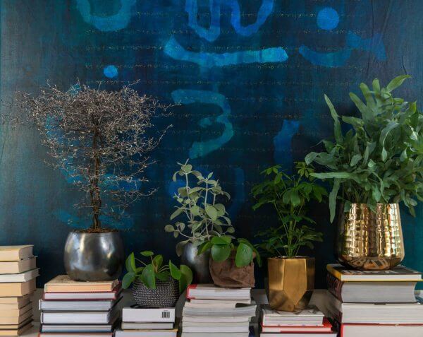 Interflora gronne planter i bokhylle