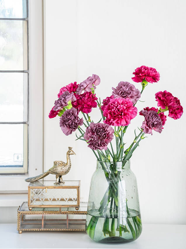 Interflora nellik rosa og lilla snittblomster