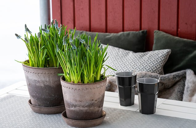 To krukker med perleblomster på uteplass