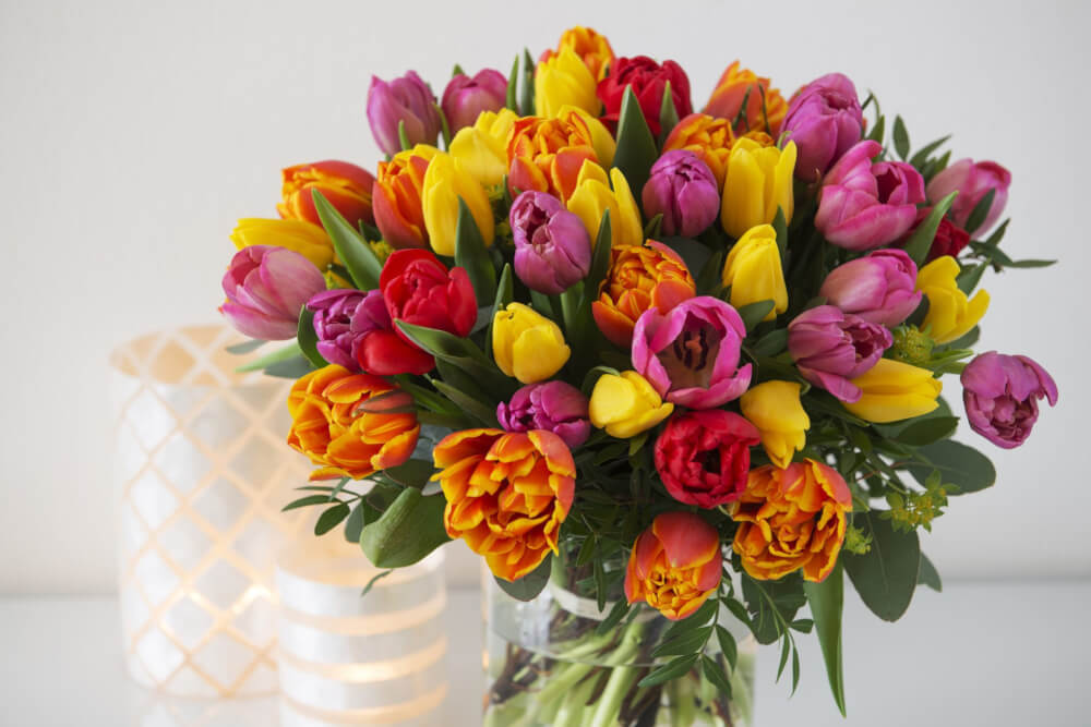 tulipaner mange farger bukett
