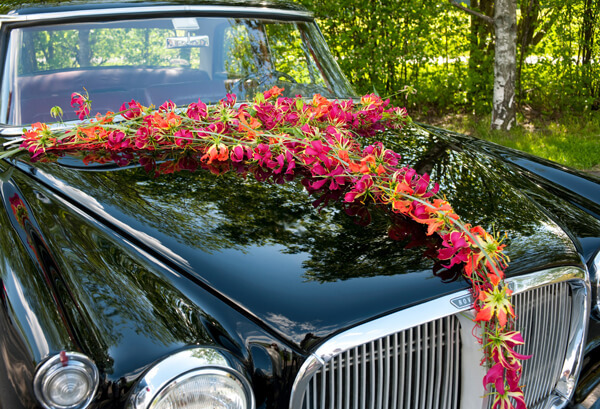 Brudebil dekorert med blomster - Interflora