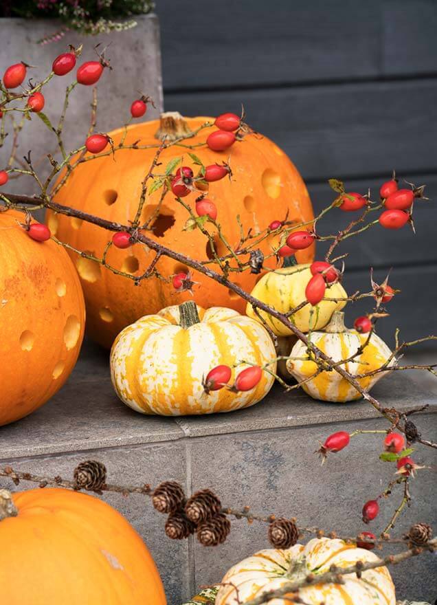 Interflora halloween inngangsparti