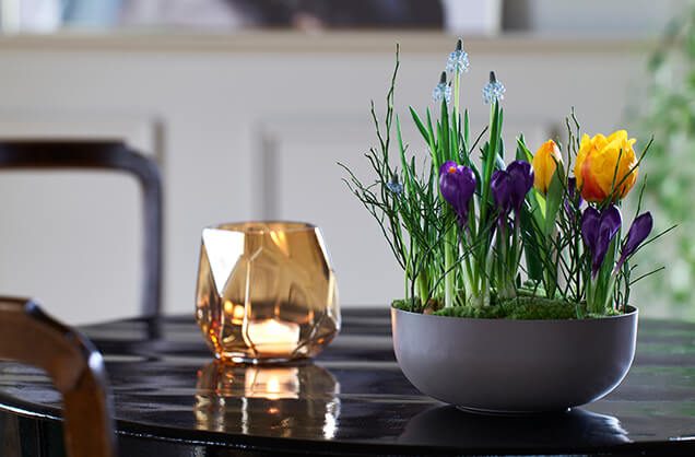 Løkblomster plantet sammen