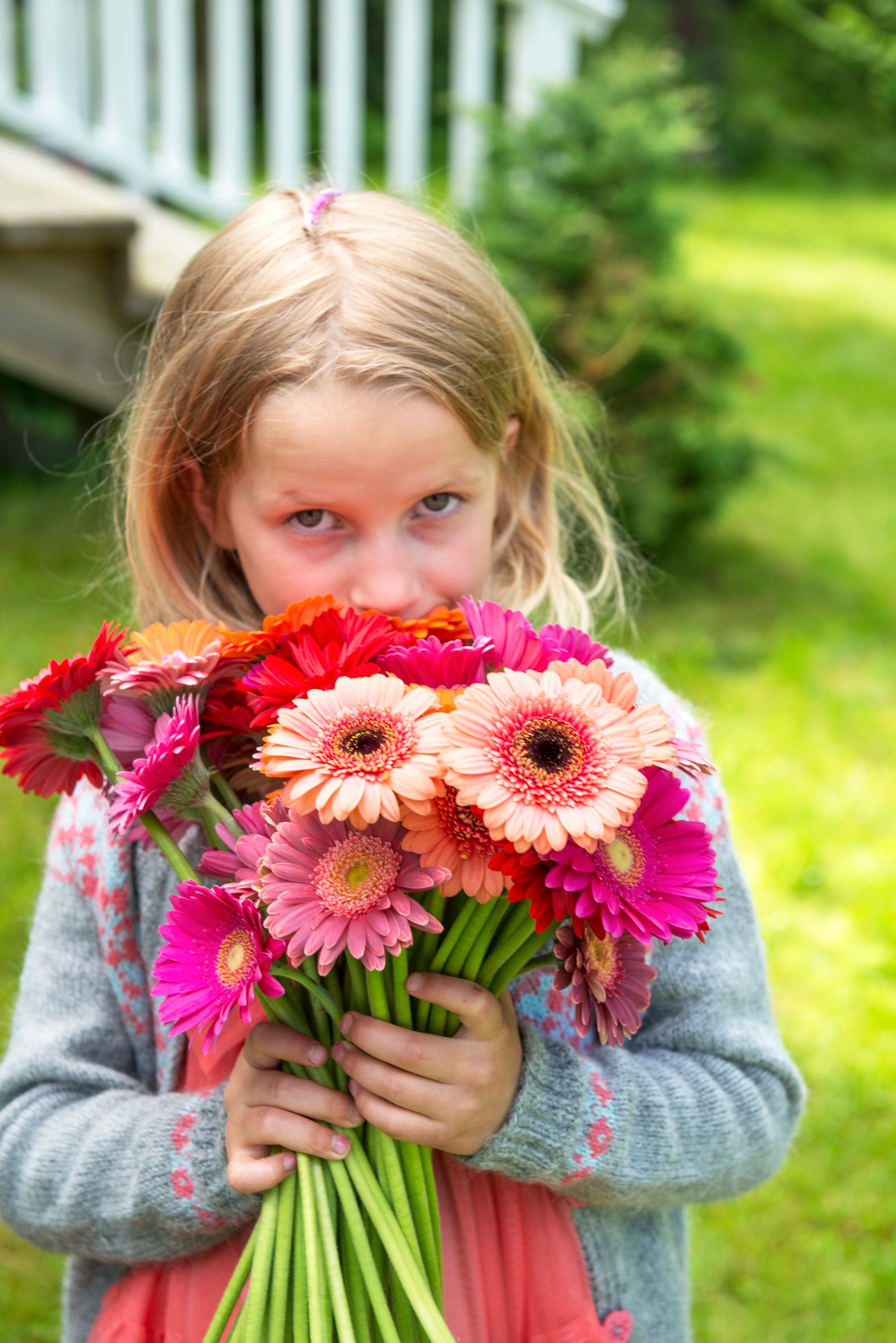 Jente lukter på bukett med gerbera